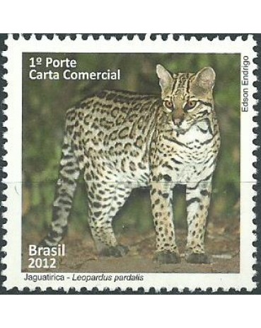 C3218 JAGUATIRICA 2012 - 7856 MINT